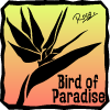 ロゴバードオブパラダイス.gif